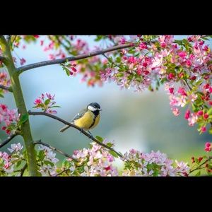 Meet your Posher, Paula